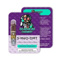 dmt the spirit molecule movie