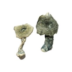 ken carson mdma