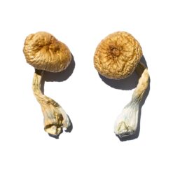 mdma pills for sale​
