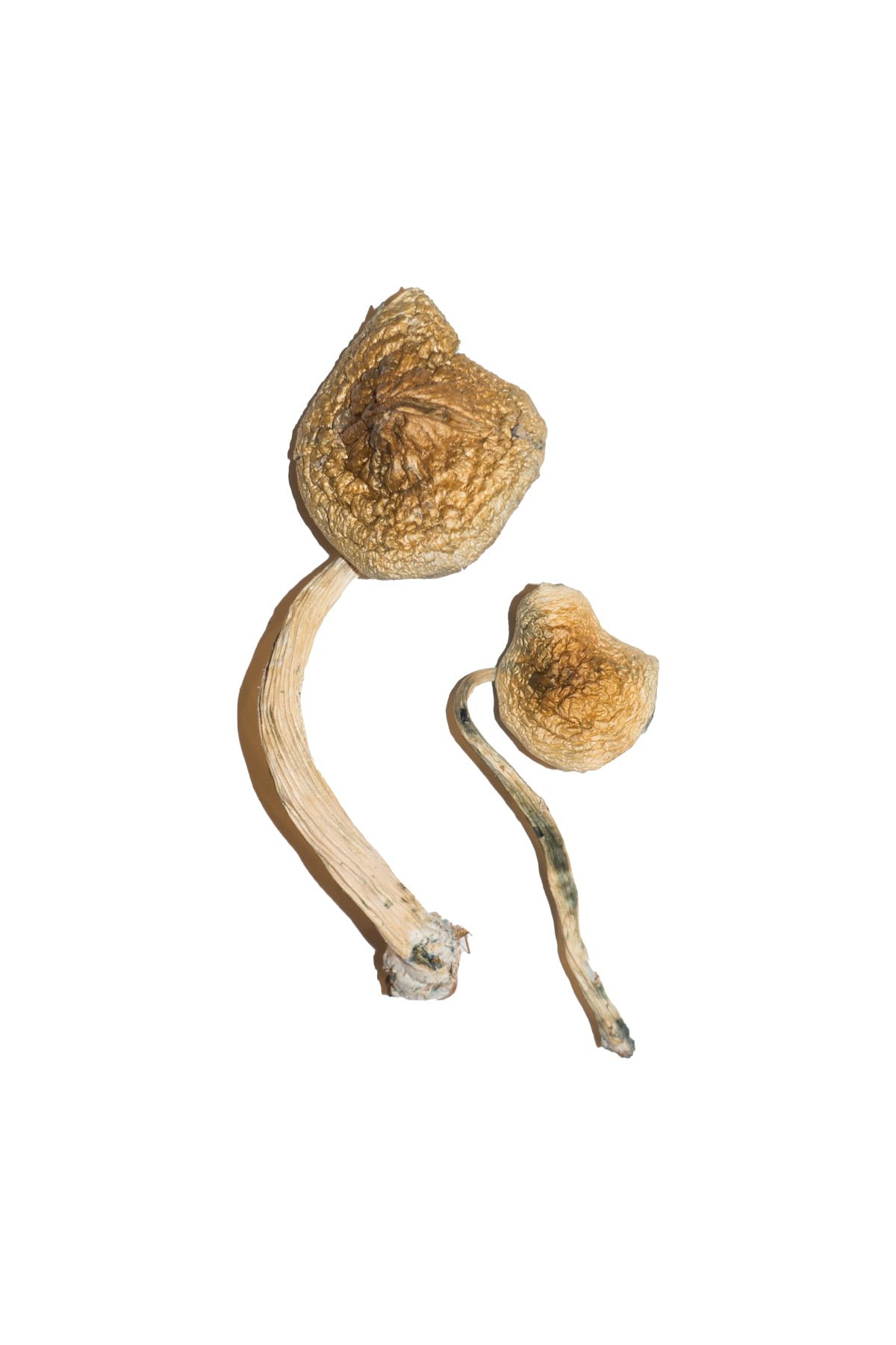 mdma sex stories