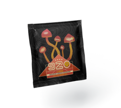 shroom bros coupon code