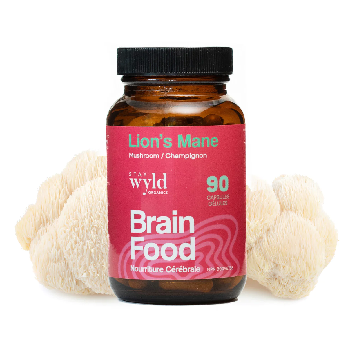 psilocybin mushrooms where to buy