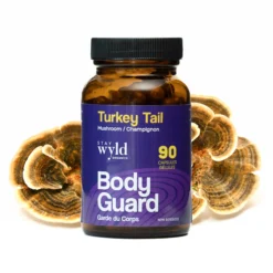 host defense mushrooms cordychi capsules